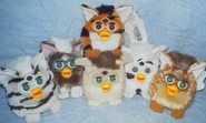 All Gen 2 Furby Buddies
