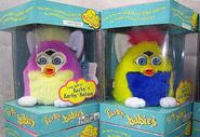 Primary Neon blue eyes in box together with Springtime Baby