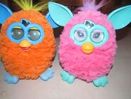 The furby with a Cotton Candy Furby