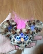 The first Chee-Chee leak