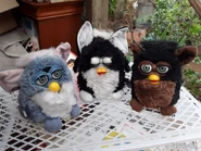 A black and white Foobie between a Elephant Furby and a Gorilla Furby