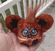 IMG 4106.jpeg (55 KB)