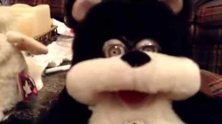 Koby the Interactive Bear (Furby Fake) | Official Furby Wiki | Fandom