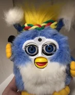 Blue yellow haired Boomi.jpg (229 KB)