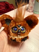 Really shiny football.jpeg (292 KB)