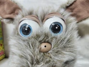 M64652745363 6.jpg (165 KB) face close up