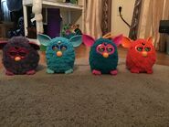 Four 2012 Furbys (left to right, Voodoo, Taboo, Bermuda, Phoenix.)