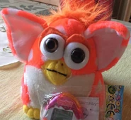 Spotted fake orange.jpg (173 KB)