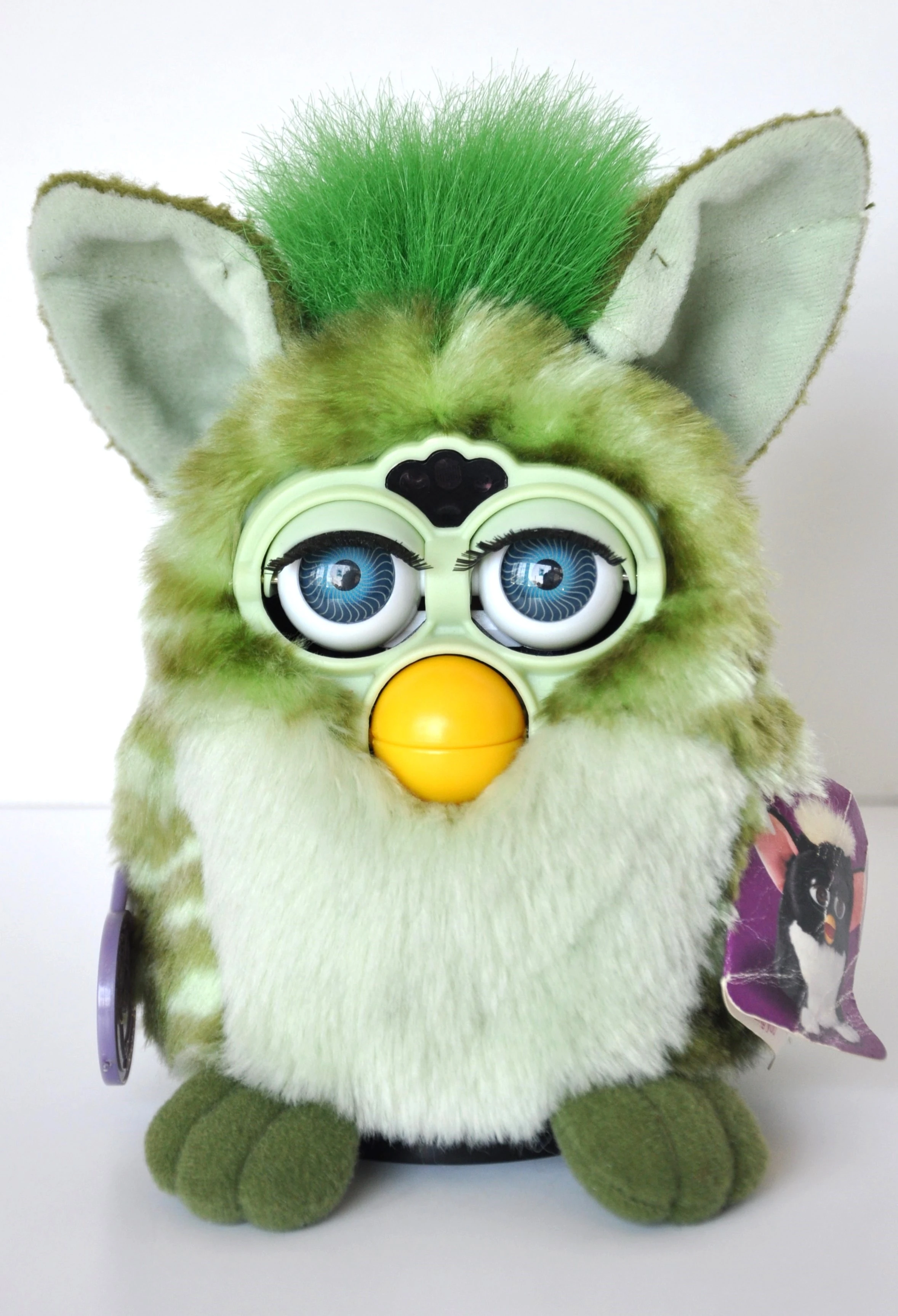 Alligator Furby | Official Furby Wiki | Fandom