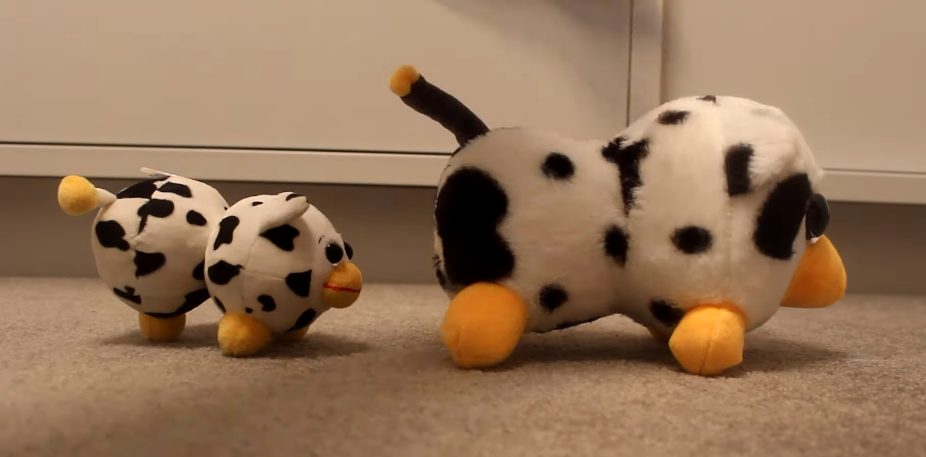Peepy | Official Furby Wiki | Fandom