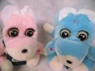 I-img1200x900-1542697034l32kq5386403.jpg (53 KB) A close view of Kucha and Pecha's faces