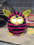 Furby Boom Straight Stripes (Front View)