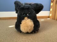 Such worn.jpg (1.31 MB)