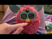 A Cotton Candy Furby with the issue