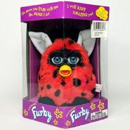 A boxed Ladybug Furby