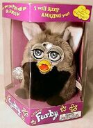 Koala Furby in its box