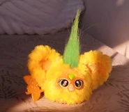 A Hoo-Lah in the sun
