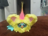 Front view