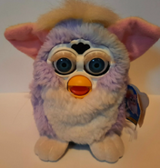 A faded Spring Time Furby (Now turning blue)