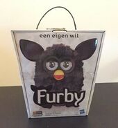 Dutch Black Magic Furby