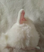 Screenshot (221).png (143 KB)