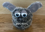 M44057743598 16.jpg (118 KB) Black Chilla Chilla out of box