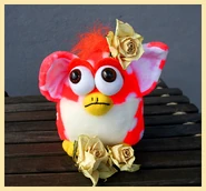 Received 896009121288958.jpeg (229 KB)