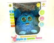 A Pixy with the top part of its beak missing