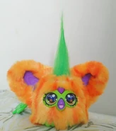 Front View