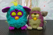 Comparison with Furby Baby (Purple)