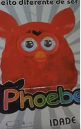 A Phoebe's box with the rainbow-colored logo