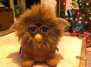 LionFurby