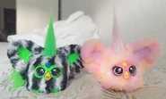 Front view of both Furblets