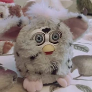 678c7c0aly1fqsv3d4533j20k00k00to.jpg (27 KB) A leopard Fooby (has missing eyelashes)