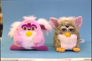Furbyandmowgwai.jpg (92 KB) A Mow Gwai next to a 1998 Furby