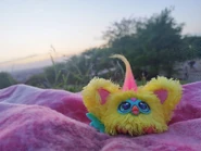 Nug-Ette at a park