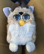 Bearfurby2