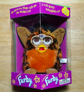 A Color Change Furby inside a box