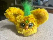 The first Hoo-Lah leak