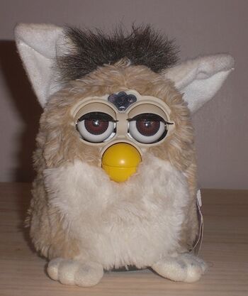 Bearfurbyty