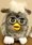 Buddies 2-owl