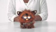 Star Wars Furbacca