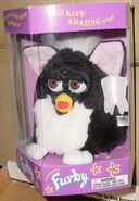 A Skunk Furby in its box.