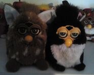 Puppy Dog Furby next to a Penguin Furby