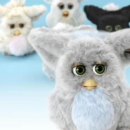 O0400040012715227494.jpg (28 KB)