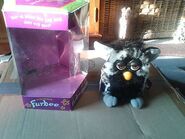 A Swedish Furby