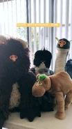 Oddbody Furbys by @OddBodyFurbz instagram