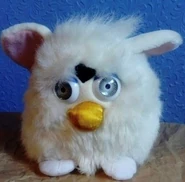 Polyester beak snowball.jpg (68 KB) Snowball Furby Variant