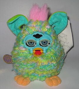 6thBabyShaggy1a