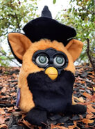 Furby Rocker’s Autumn Furby that has green eyes